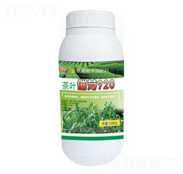 ���~��ѿ920-��(r��n)���