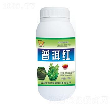 �ն��t-��(r��n)�����