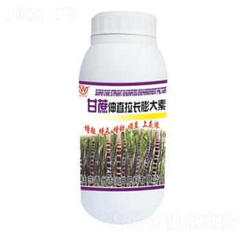 ������ֱ���L(zh��ng)�����-��(r��n)