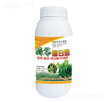 �G���X�׽�-��(r��n)�����