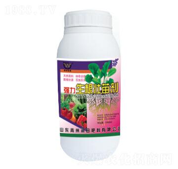 ƿ�b��(qi��ng)���������焩-��(r��n)