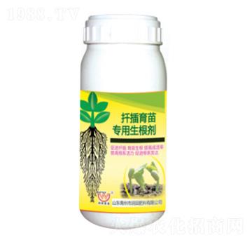 ���猣��������-��(r��n)���