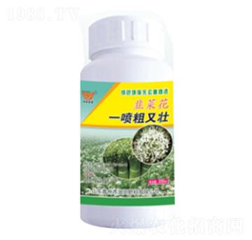 �²˻�һ�����։�-��(r��n)��