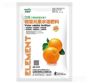 ԭ�̽��n�S��-����-�~����