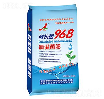 �ι����-��������