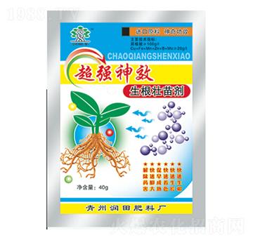 �������焩-��(r��n)�����