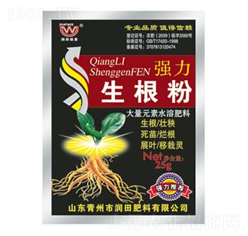 ��(qi��ng)��������-��(r��n)�����