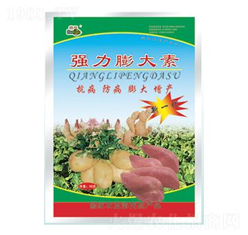 ��(qi��ng)�������-��(r��n)�����