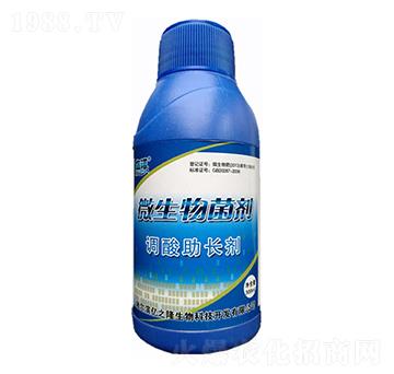 �{(di��o)�����L΢�������-�|֮¡