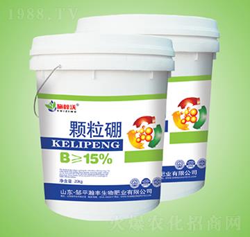 �w����-ʩ����-��S����