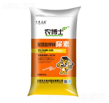 �۸�����\����-�r��ʿ-��������