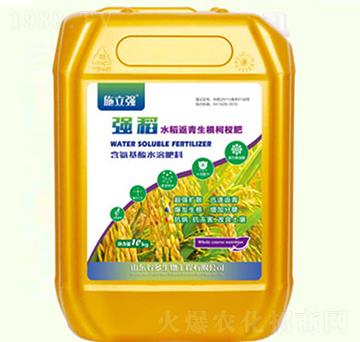 強稻生根返青柯杈肥-金基恒豐