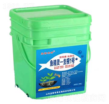 �~���`-����1̖(h��o)-�ʼڵ۹�