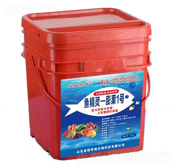 �~���`-���1̖(h��o)-�ʼڵ۹�