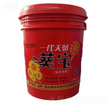 һ��������-��ɽ̩�S