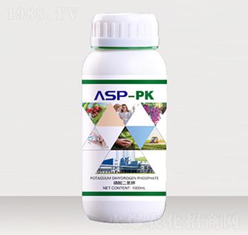 �۹Ȱ���-��ؐ��