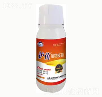 �o��ֲ������-��혻���