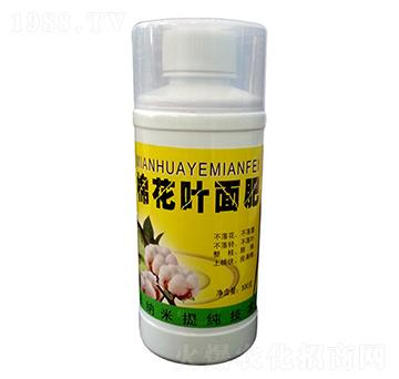 �޻��~���-��ɽ̩�S