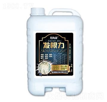 �l(f��)����-�ú���-������