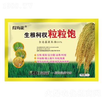 ������������-�ú���-������