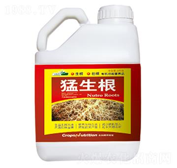 ������-�|���S