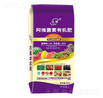 ���S�����ЙC(j��)��-����