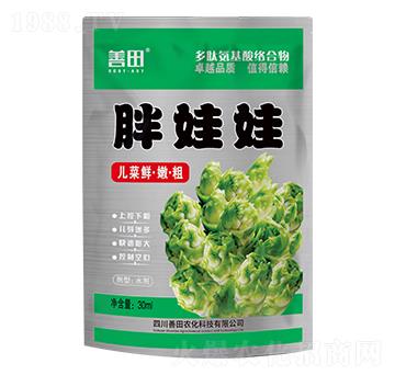 ������-����