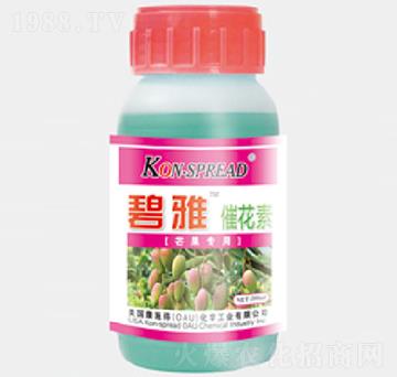 ����â�����ô߻���-��