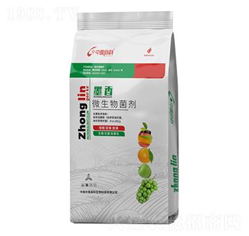 ΢�������-ī��-���ظ߿�