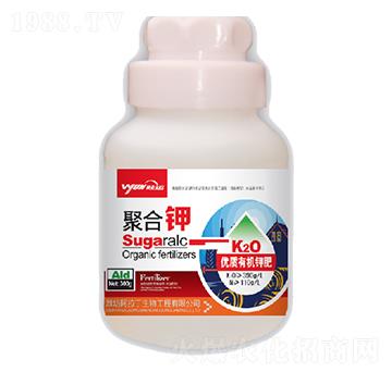 �ۺ��-������