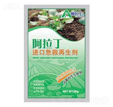 �M�ڼ���������-������