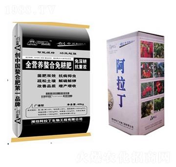 ȫ�I�B(y��ng)���������-����