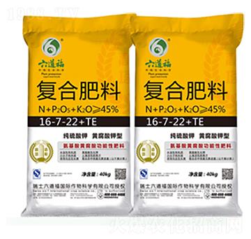 �S������͏ͺϷ�16-