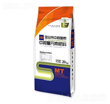 ��΢��Ԫ�ط���-��؁�(l��i)����