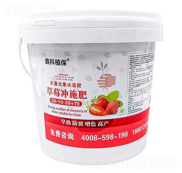 ��ݮ�_ʩ��20-10-20+TE-�ο�ֲ��