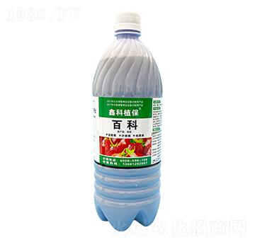 �ٿ�-�ο�ֲ��