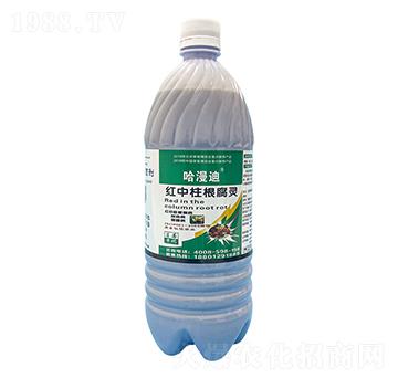 ��ݮ�t���������`-�ο�ֲ��