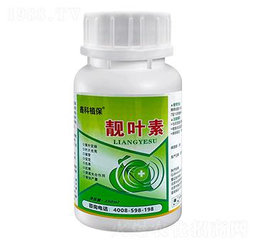 �n�~��-�ο�ֲ��