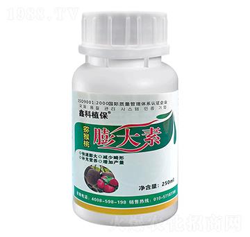 �J���������-�ο�ֲ��