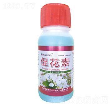 �ٻ���-��ʩ��