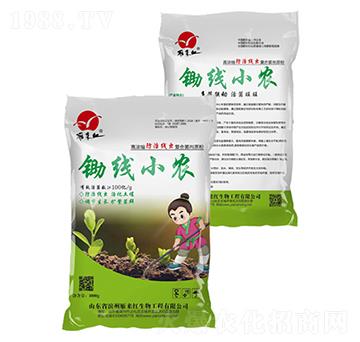 �z��С�r-����t