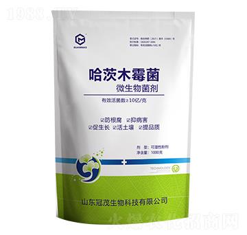 ����ľù��-��ï����