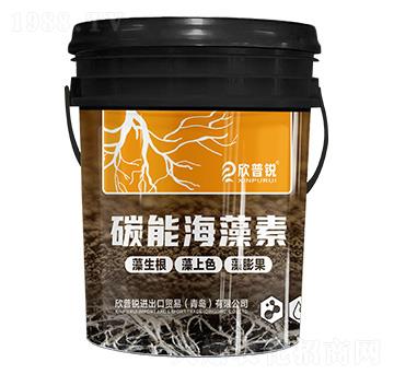 ̼�ܺ�����-�����R