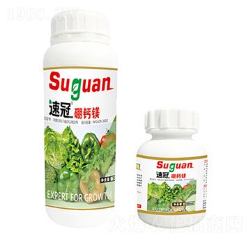 �ٹ����w���}�V-�r(n��ng)��