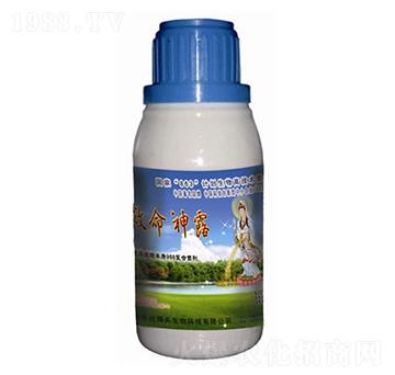 ϡ��������¶����-��������