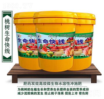 �Ҙ������쾀�_ʩ��-��������