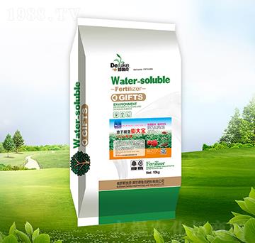 地下根莖膨大寶-德魯克