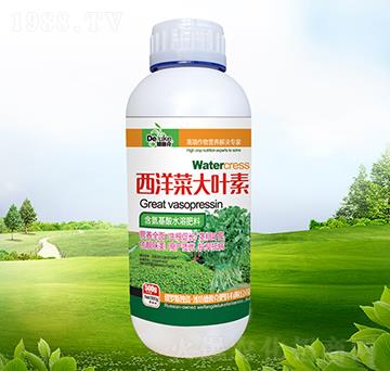 西洋菜大葉素-德魯克