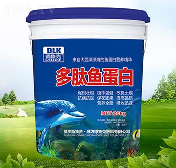 �����~(y��)����-������