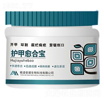 護(hù)甲愈合寶-安諾生物